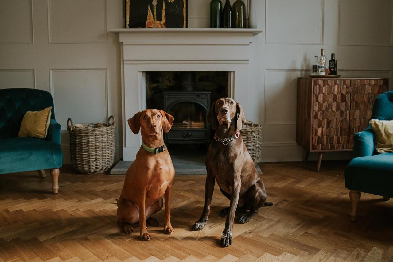 Dacre House, Gilsland Bed & Breakfast エクステリア 写真